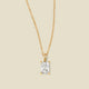 Gold Vermeil