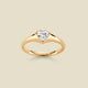 Gold Vermeil