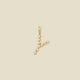 Gold Vermeil