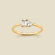 Gold Vermeil