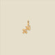 Gold Vermeil