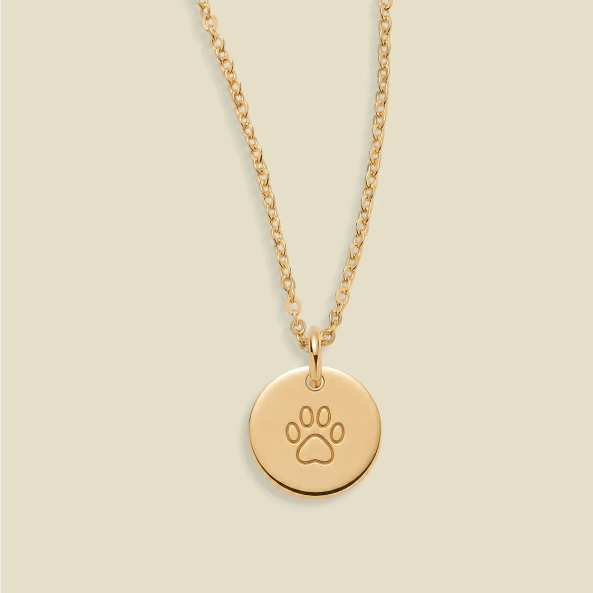 Fur Baby Disc Necklace