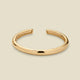 Gold Plated