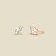 Gold Vermeil